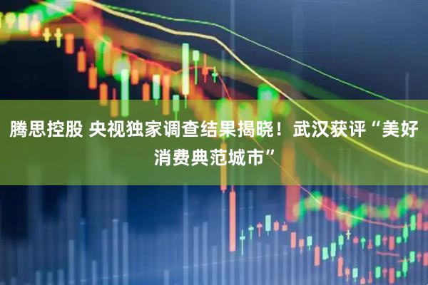 腾思控股 央视独家调查结果揭晓！武汉获评“美好消费典范城市”