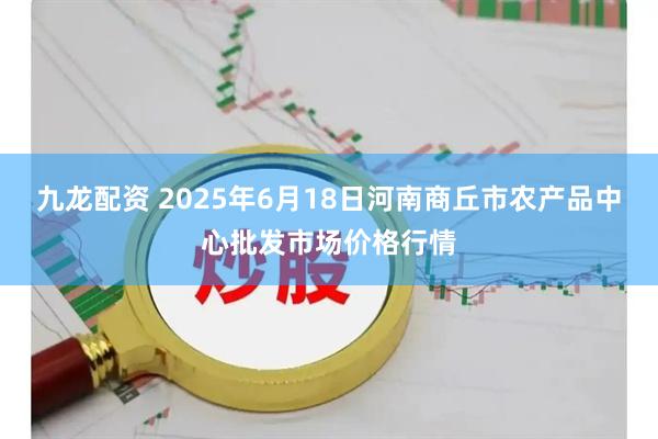 九龙配资 2025年6月18日河南商丘市农产品中心批发市场价格行情