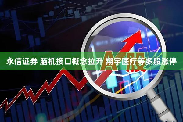 永信证券 脑机接口概念拉升 翔宇医疗等多股涨停