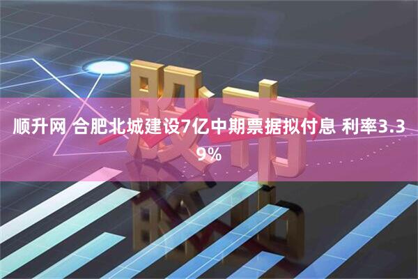 顺升网 合肥北城建设7亿中期票据拟付息 利率3.39%