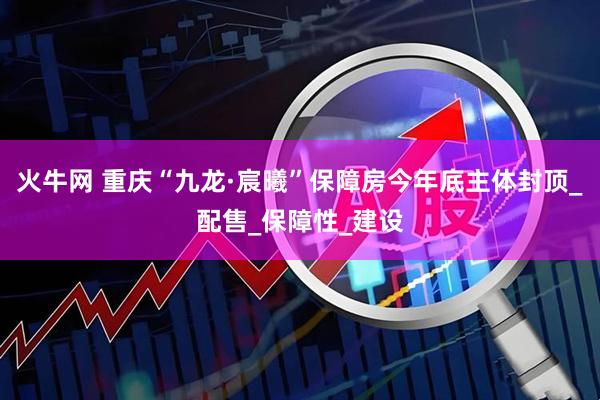 火牛网 重庆“九龙·宸曦”保障房今年底主体封顶_配售_保障性_建设