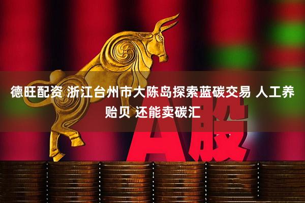 德旺配资 浙江台州市大陈岛探索蓝碳交易 人工养贻贝 还能卖碳汇