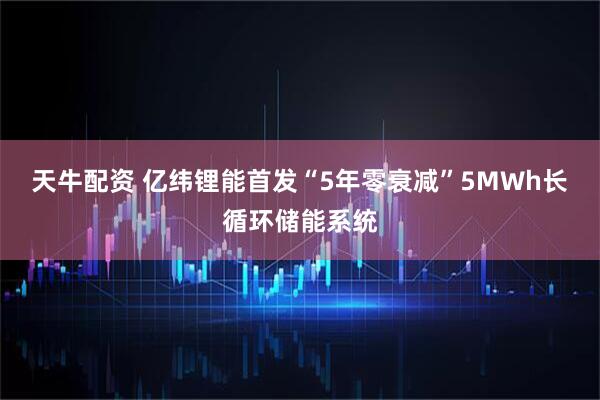 天牛配资 亿纬锂能首发“5年零衰减”5MWh长循环储能系统