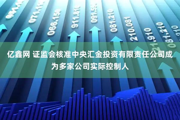 亿鑫网 证监会核准中央汇金投资有限责任公司成为多家公司实际控制人
