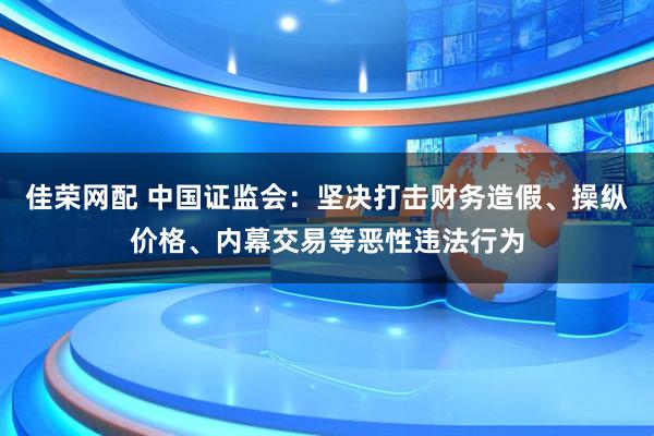 佳荣网配 中国证监会：坚决打击财务造假、操纵价格、内幕交易等恶性违法行为