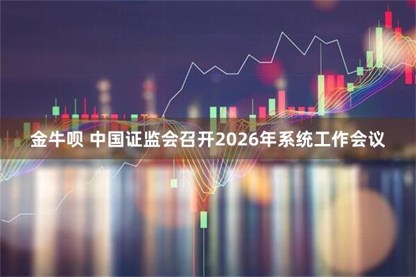 金牛呗 中国证监会召开2026年系统工作会议